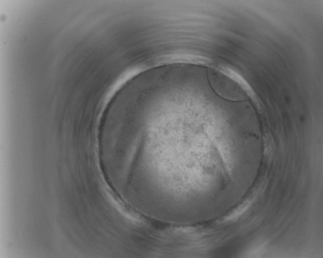 X0000063531043200601271856