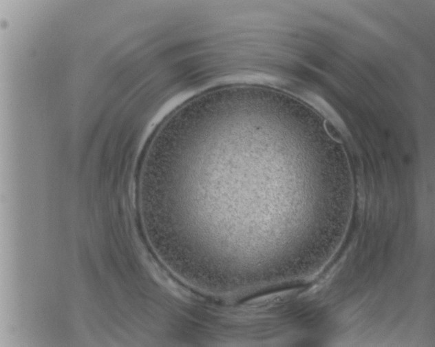 X0000063531044200601271856