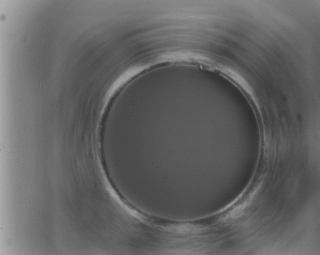 X0000063531045200601271856