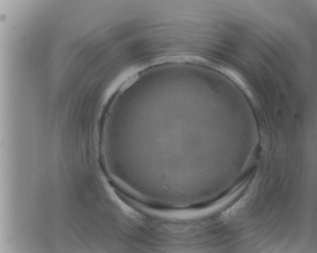 X0000063531046200601271856