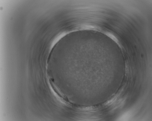 X0000063531047200601271856