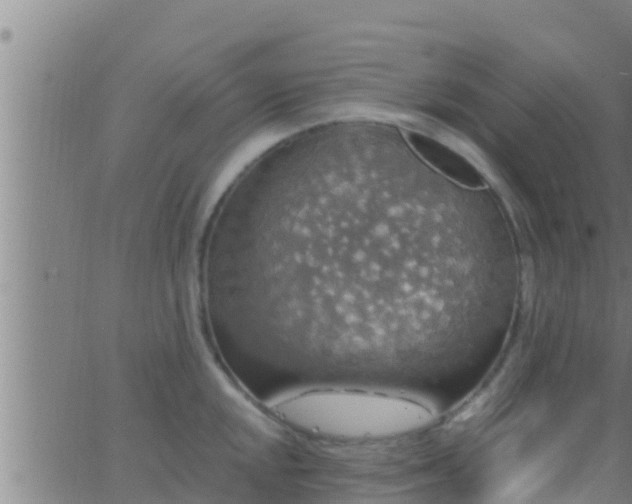 X0000063531048200601271856