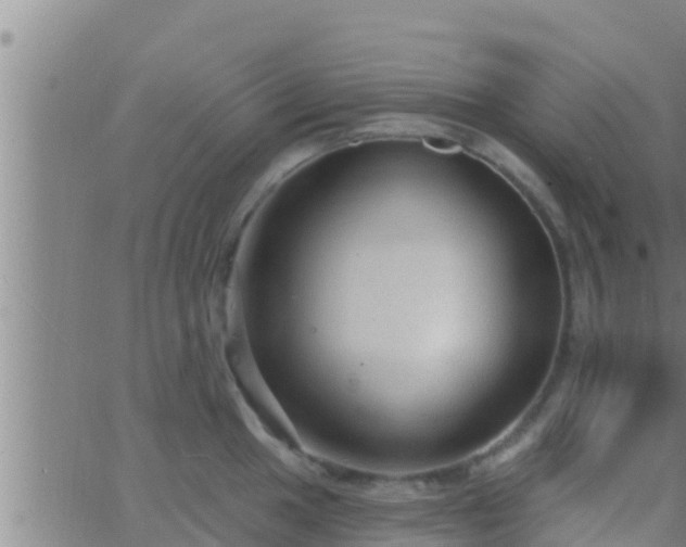 X0000063531049200601271856