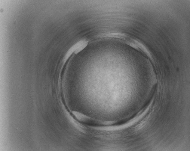 X0000063531050200601271856