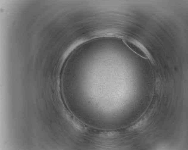 X0000063531051200601271856