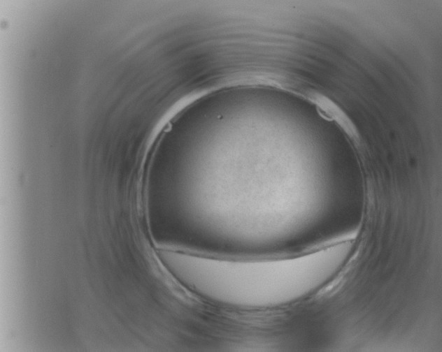 X0000063531052200601271856