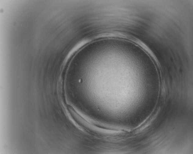 X0000063531053200601271856