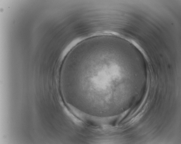 X0000063531054200601271856