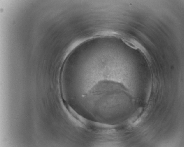 X0000063531055200601271856