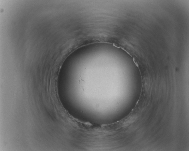 X0000063531057200601271855