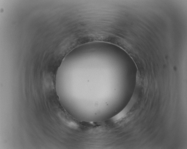 X0000063531058200601271855