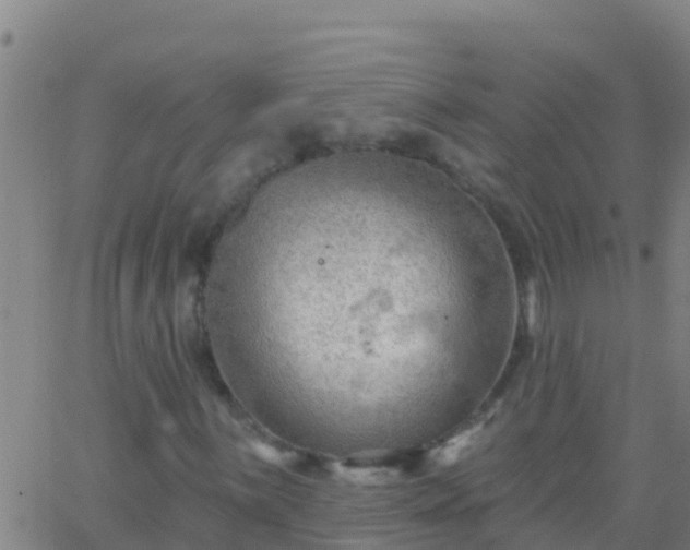 X0000063531059200601271855