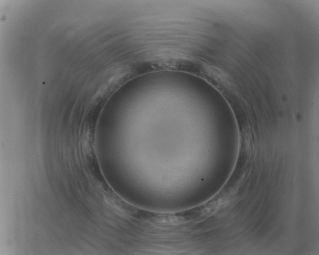 X0000063531060200601271855