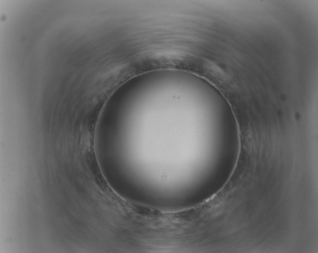 X0000063531061200601271855