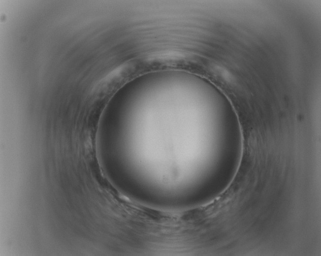 X0000063531062200601271855