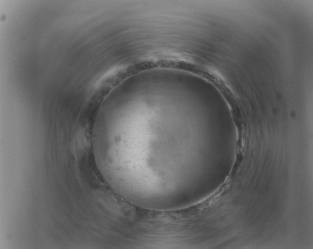 X0000063531063200601271855