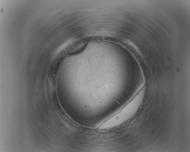 X0000063531064200601271855