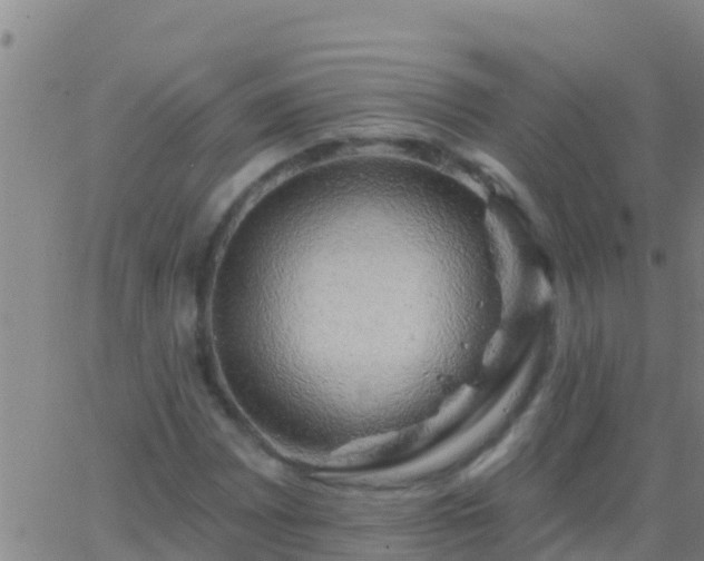 X0000063531065200601271855