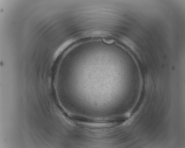 X0000063531066200601271855