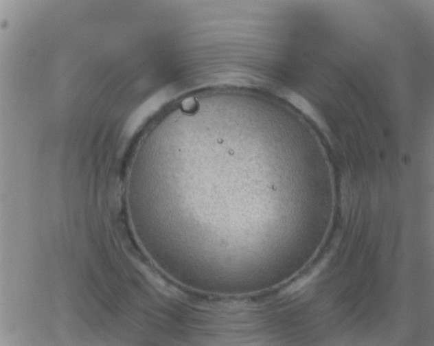 X0000063531067200601271855