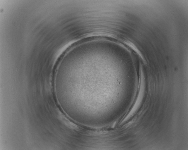 X0000063531068200601271855