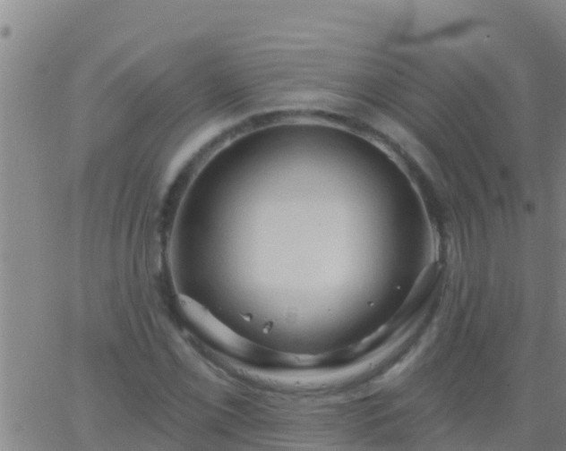 X0000063531069200601271855