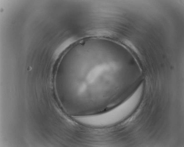 X0000063531071200601271855