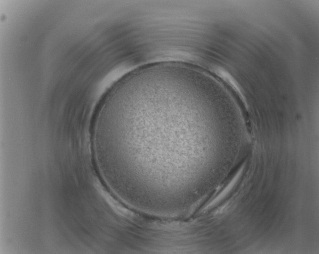 X0000063531072200601271855