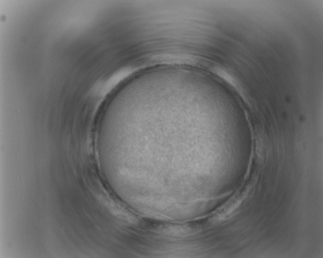 X0000063531074200601271855