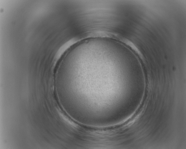 X0000063531075200601271855