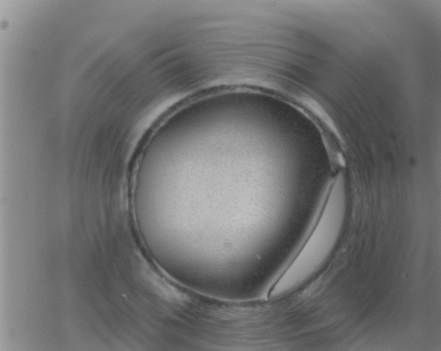 X0000063531076200601271855