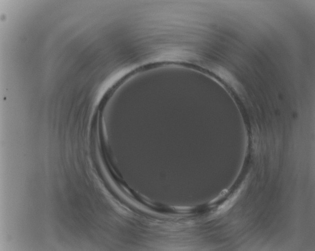 X0000063531077200601271855