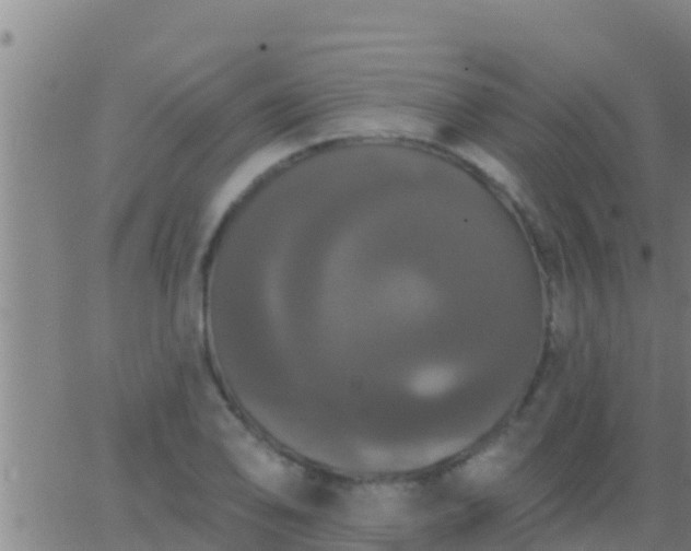 X0000063531078200601271855