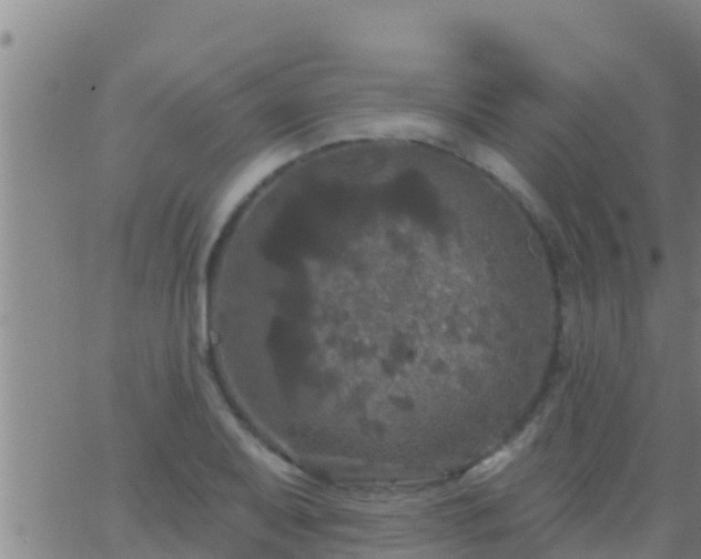 X0000063531079200601271855