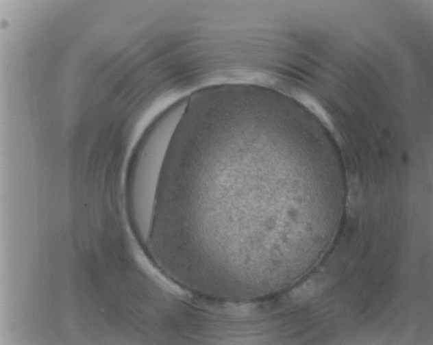 X0000063531080200601271855