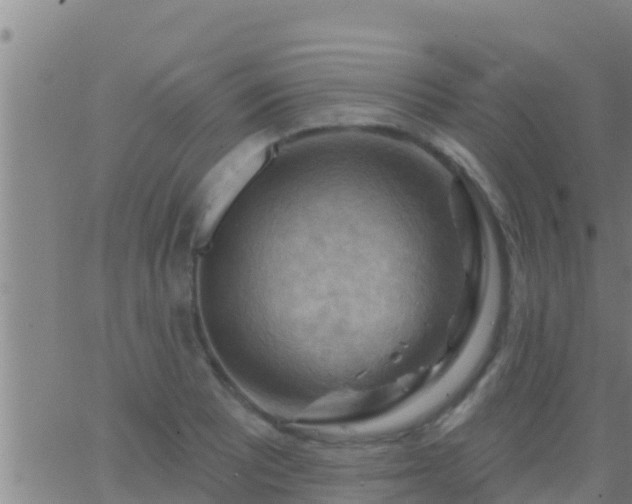 X0000063531081200601271855