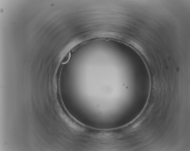 X0000063531082200601271855