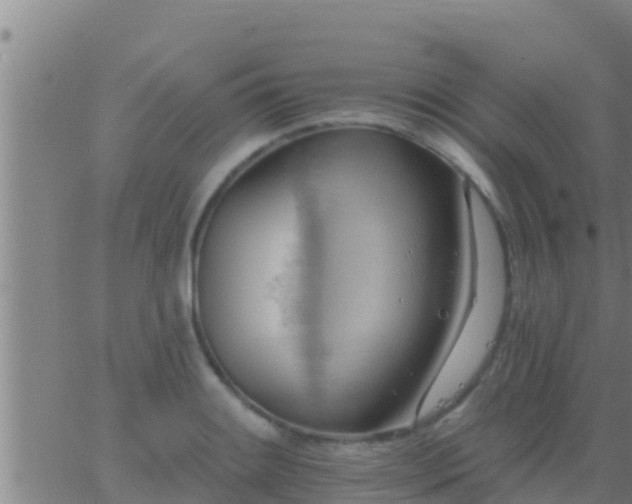 X0000063531084200601271855