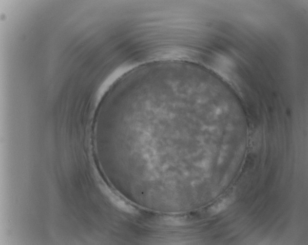 X0000063531086200601271855