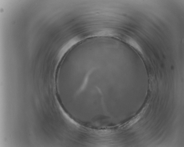 X0000063531087200601271855