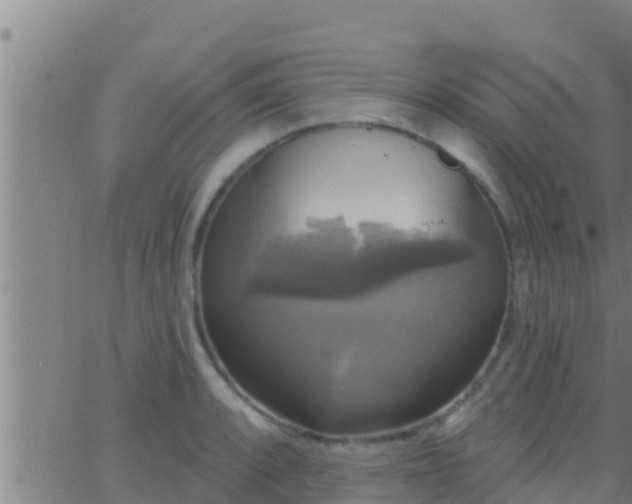 X0000063531088200601271855