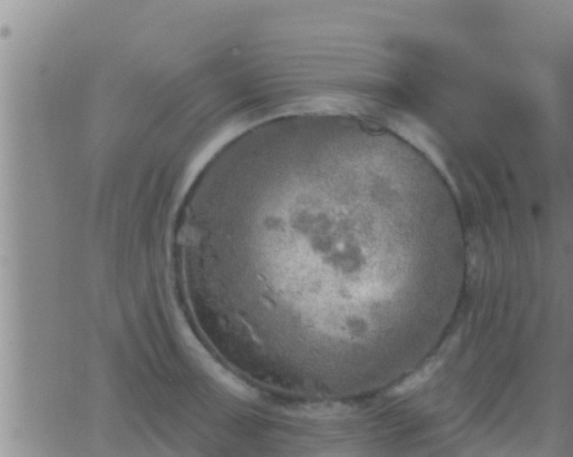 X0000063531091200601271855