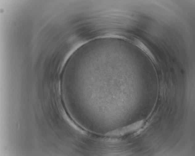 X0000063531092200601271855