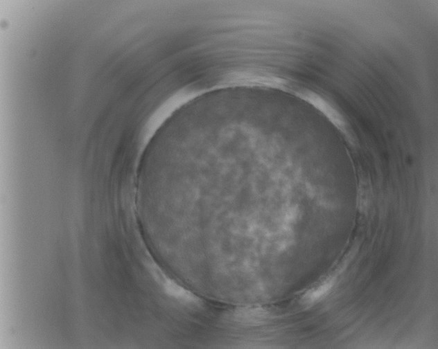 X0000063531094200601271855