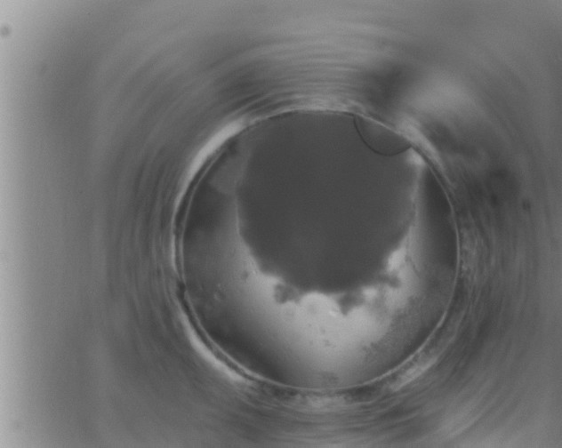 X0000063531095200601271855