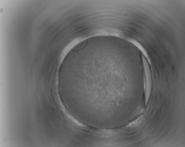 X0000063531096200601271855