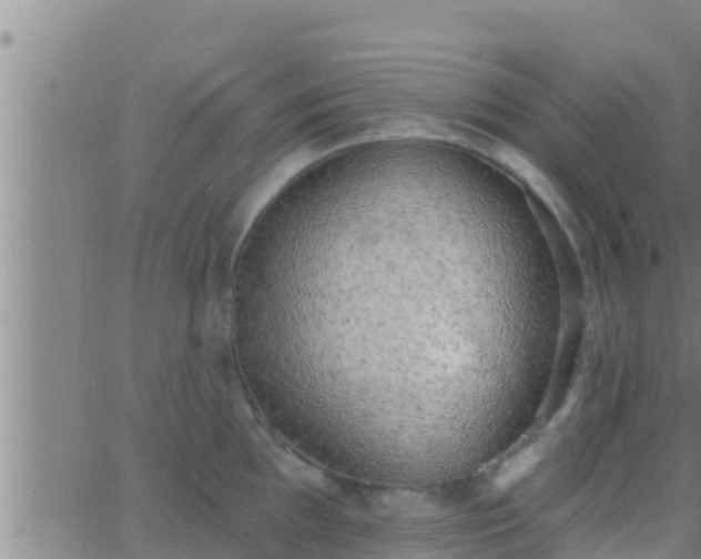 X0000063531097200601271855