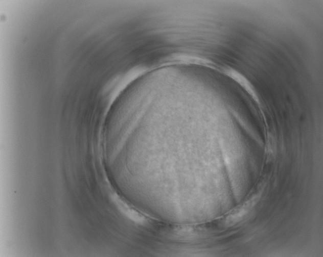 X0000063531098200601271855