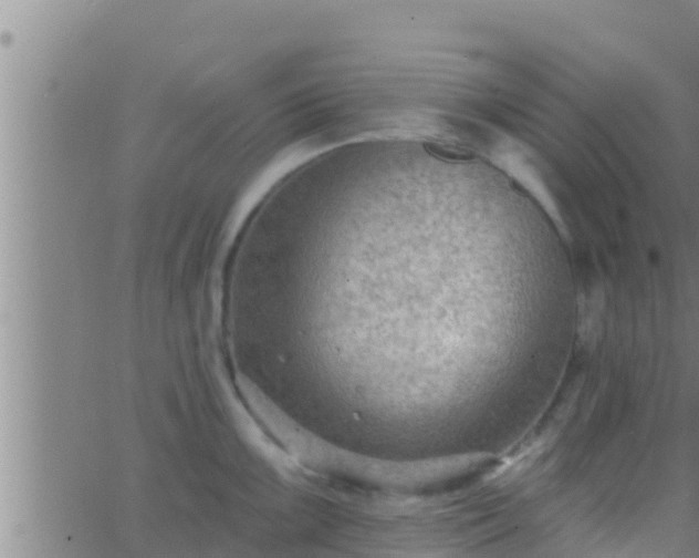 X0000063531099200601271855