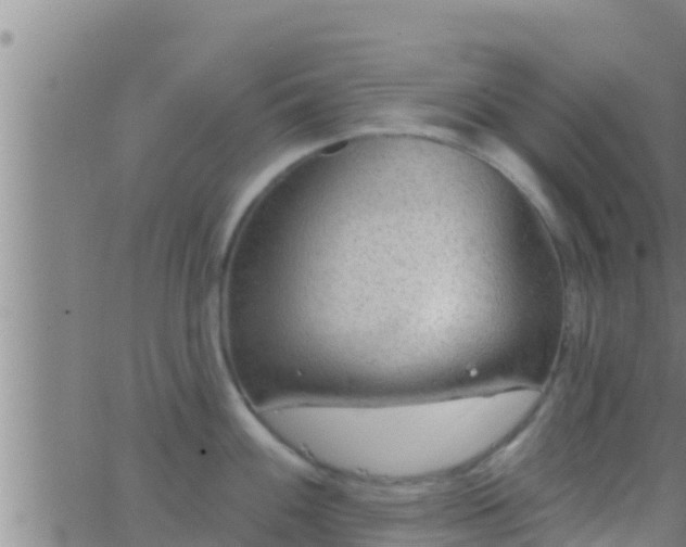 X0000063531100200601271855